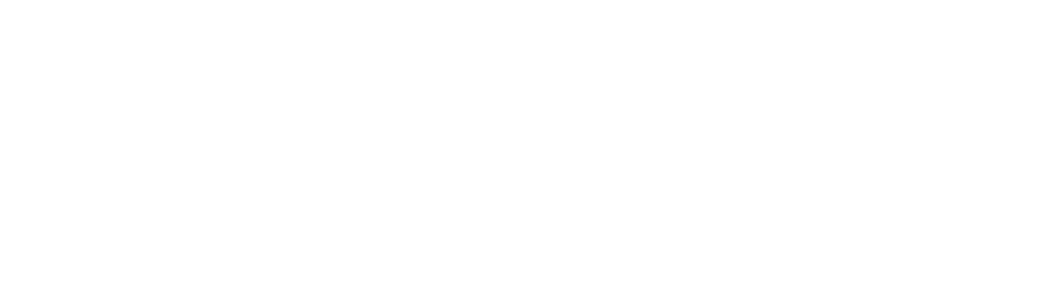 Nexus Chemico Industries